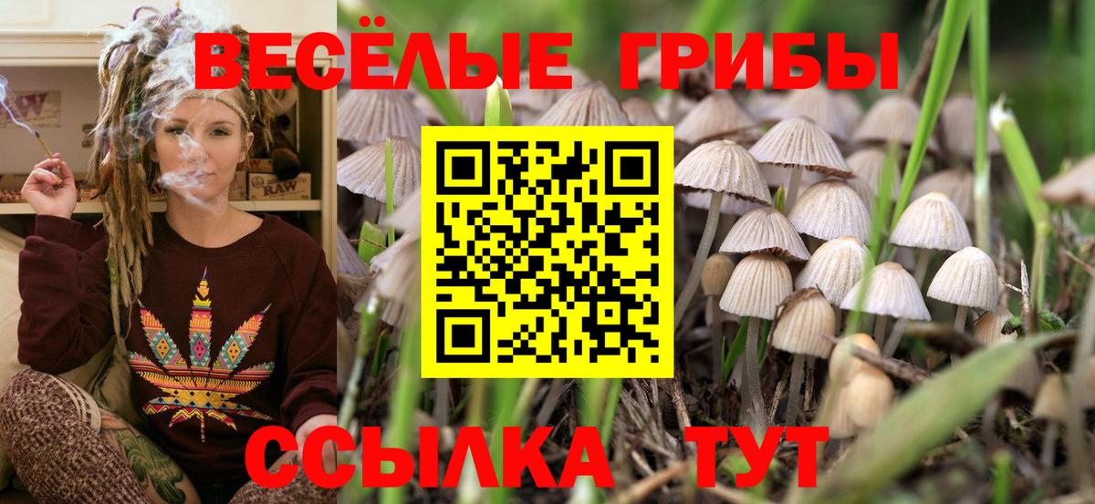 Псилоцибиновые грибы MAGIC MUSHROOMS Майский