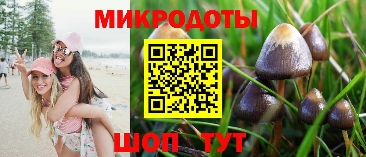 Майский  Псилоцибиновые грибы MAGIC MUSHROOMS  Вход с VPN  Галлюциногенные грибы GOLDEN TEACHER 